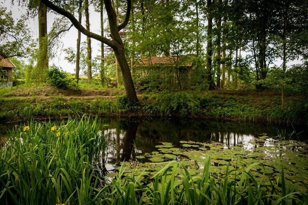 Thil'S Bed And Breakfast Ambt Delden Exteriér fotografie